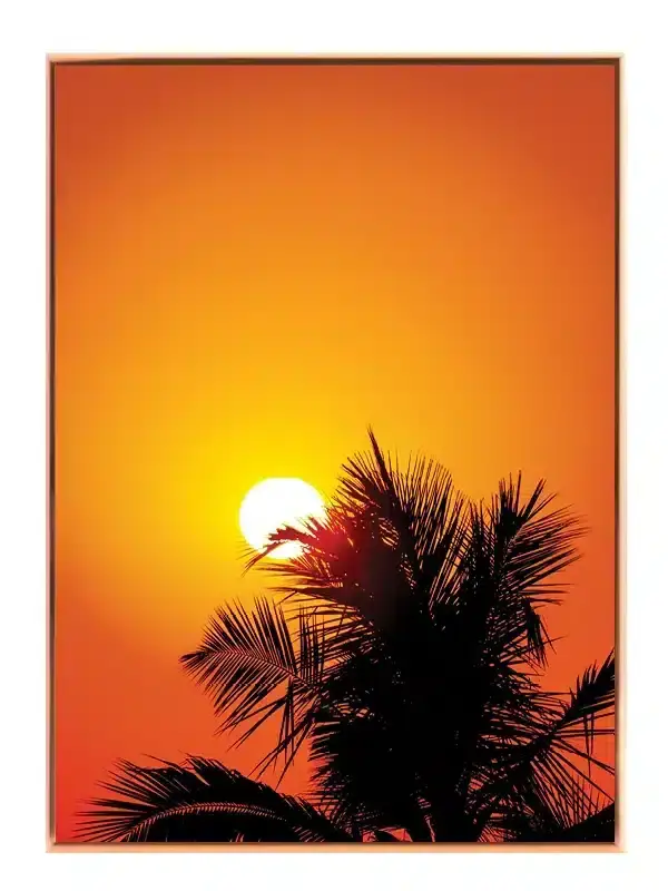 Palme Silhuet Solnedgang Plakat