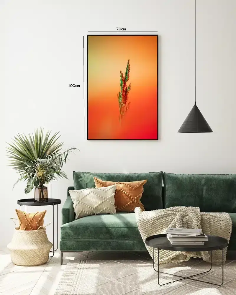 Græsstrå i Solnedgangslys Plakat