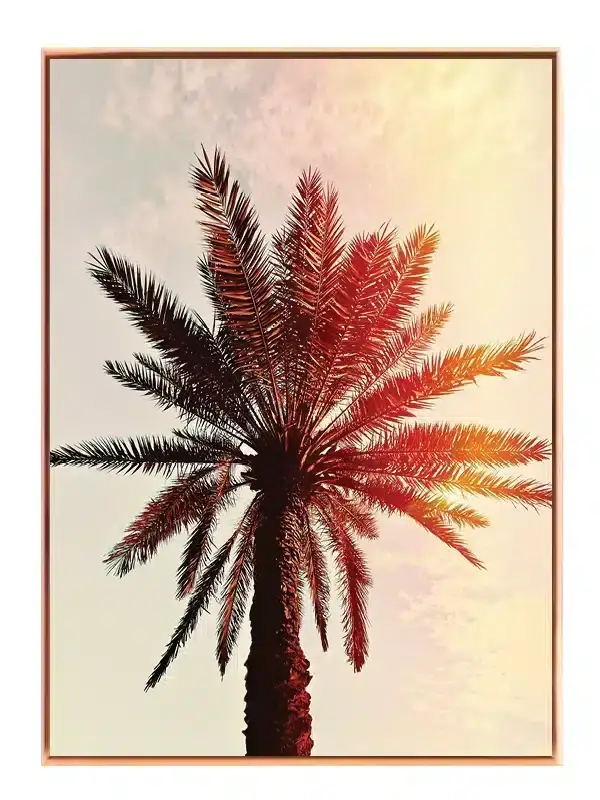 Palme Træ Ved Solnedgang Plakat