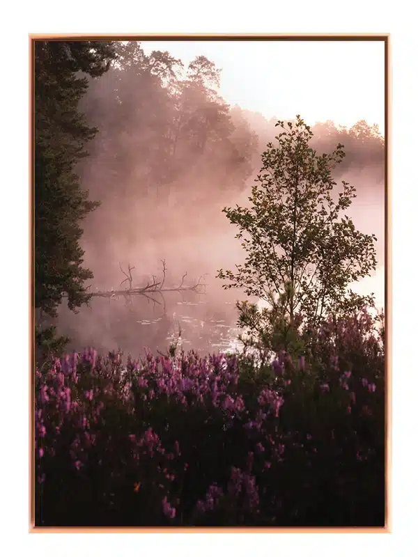 Lyng og Morgenrøg Plakat