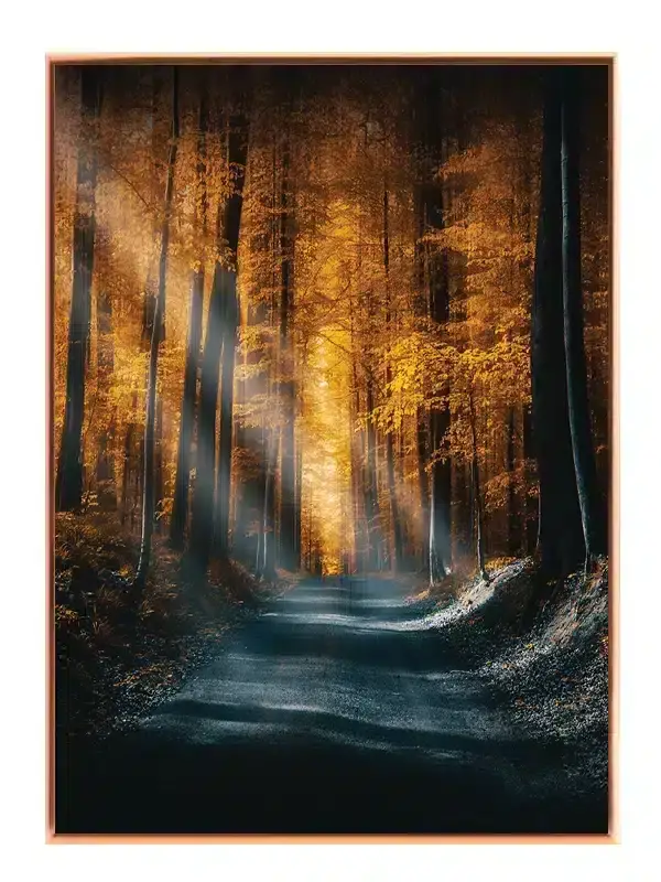 Efterårssti i Skoven Plakat