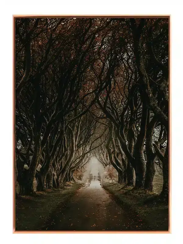 Vridede Bøgetræers Tunnel Plakat