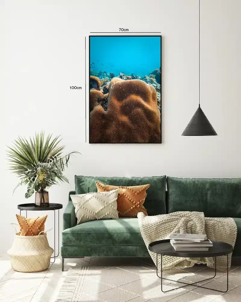 Nærbillede af Hjernekoral Plakat