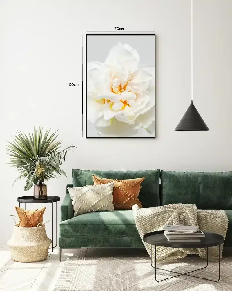 Hvid Rose Detalje Plakat