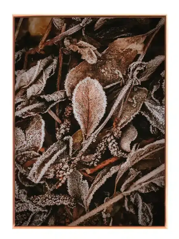 Frostdækkede Efterårsblade Plakat