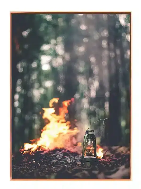 Skovbål og Lanterne Plakat