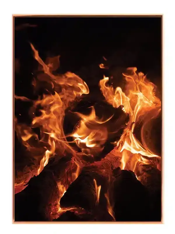 Flammer Over Træstammer Plakat