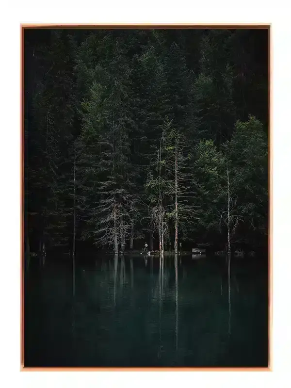 Fyrretræer Ved Sø Plakat