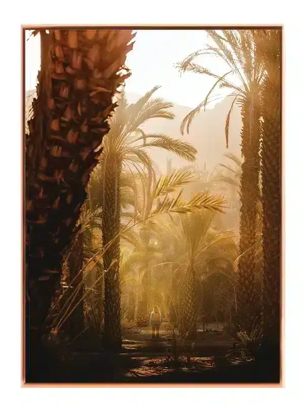 Aftenlys i Palmeplantage Plakat