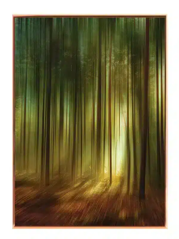 Soloplyst Fyrreskov Plakat