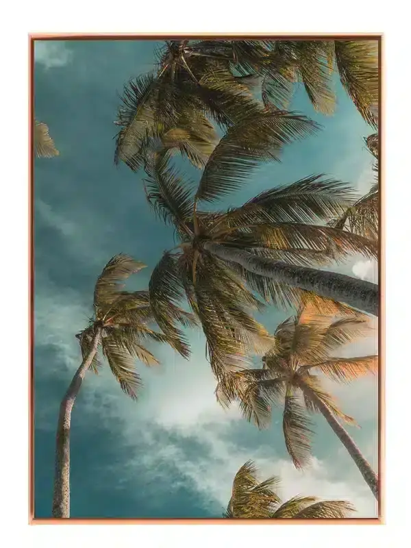 Høje Palmetræer Mod Himmel No3 Plakat