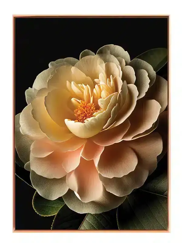 Blid Camellia Blomst Plakat