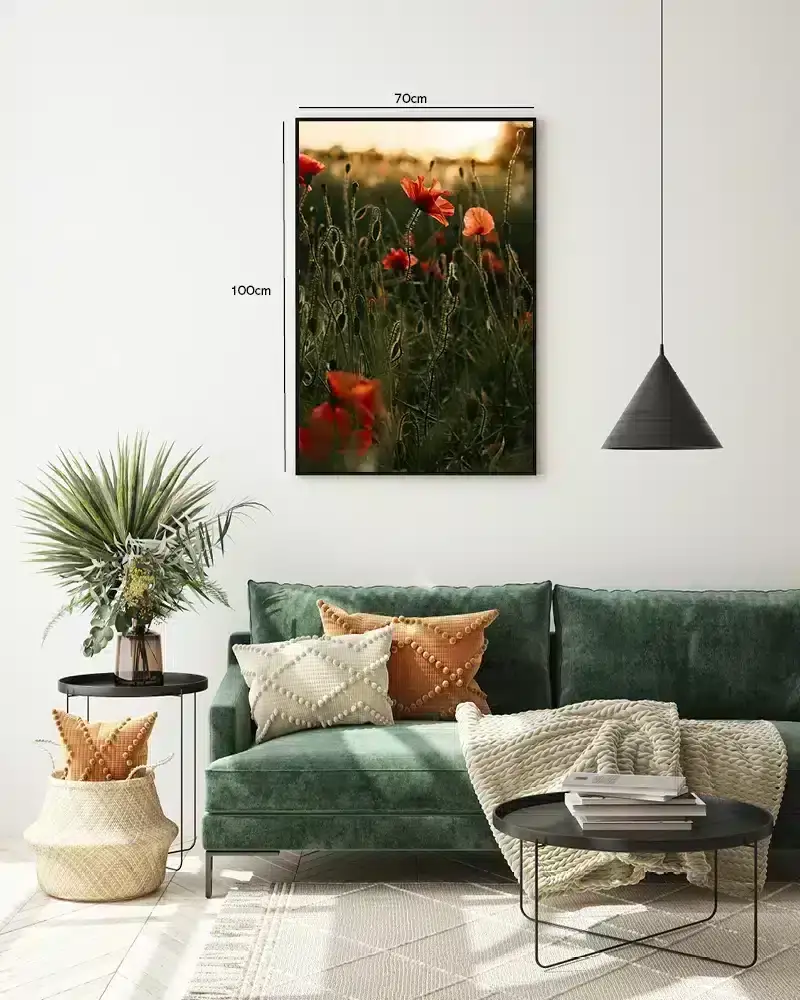 Valmue Mark Ved Solnedgang Plakat