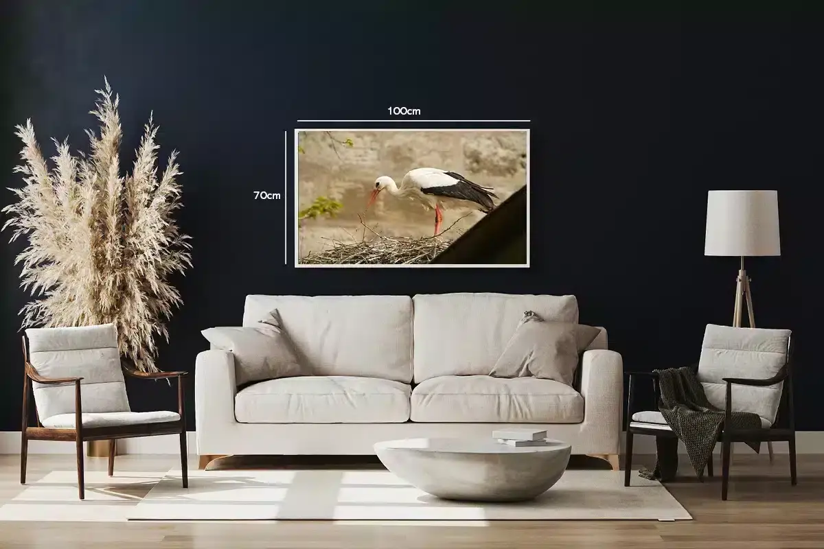 Hvid Stork På Rede Plakat