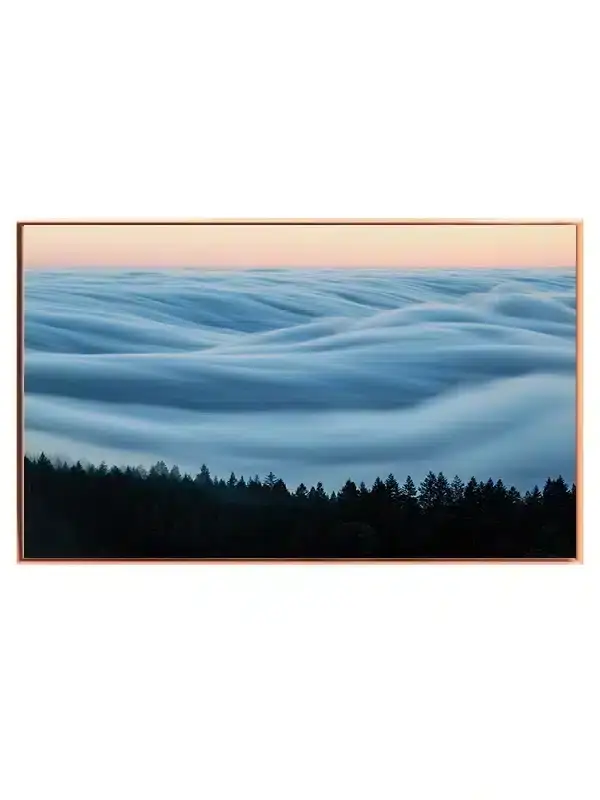 Tågebølger Over Skov Plakat