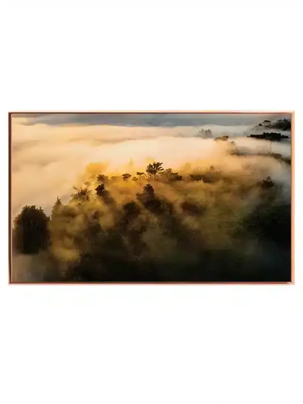 Tåget Skov i Morgenlys Plakat