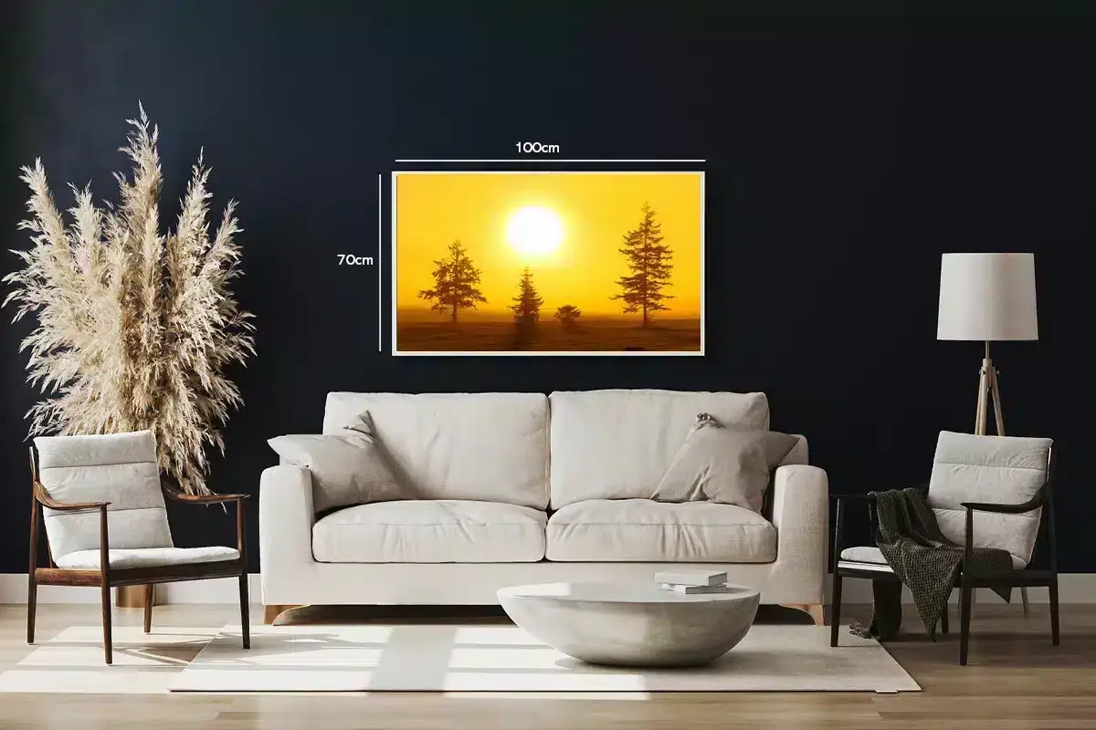 Fyrretræer i Gyldent Morgenlys Plakat