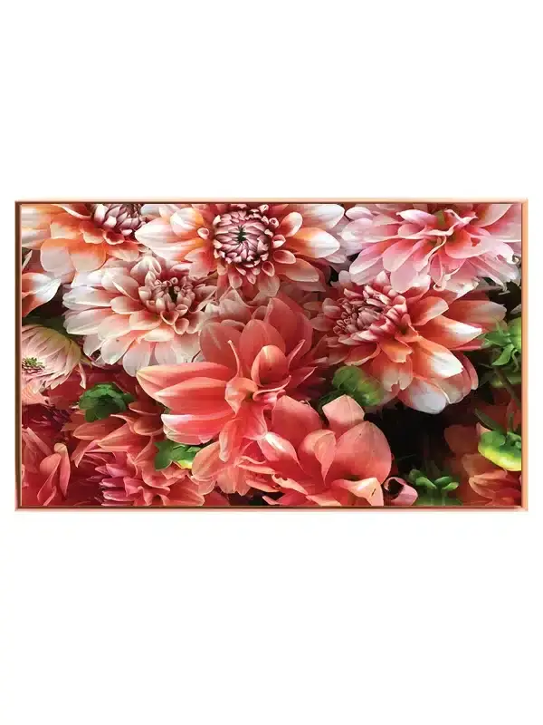 Koralfarvede Dahlia Buket Plakat