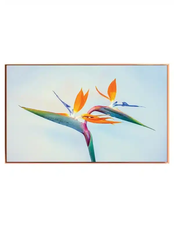 Paradisiske Blomster Detalje Plakat