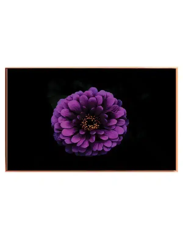 Lilla Blomst Detalje Plakat