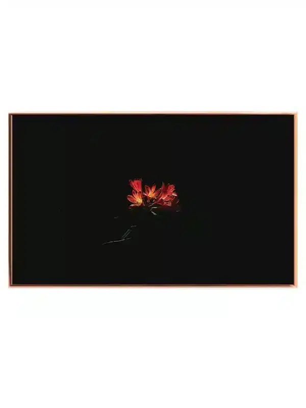 Orange Blomster i Mørke Plakat