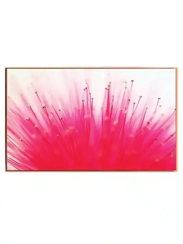 Pink Blomsterstøvdragere Plakat