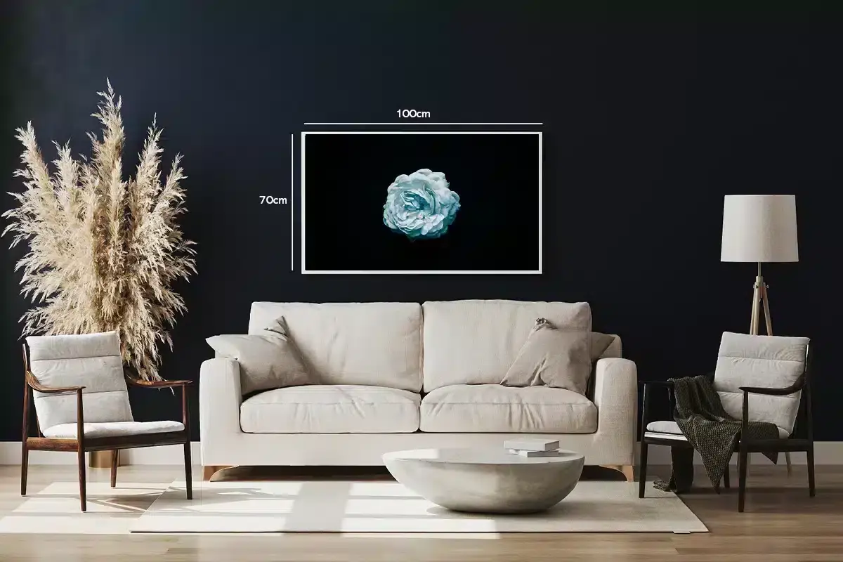 Hvid Rose På Sort Plakat