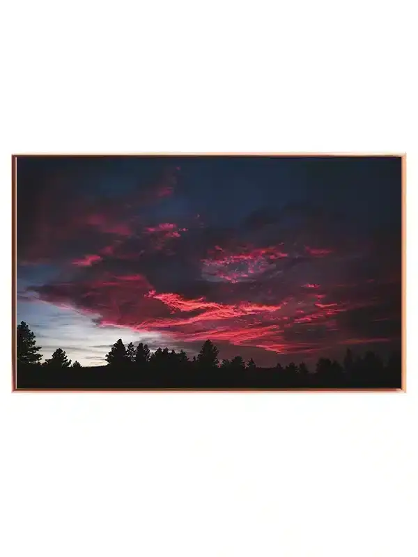Flammende Skumring Over Skov Plakat