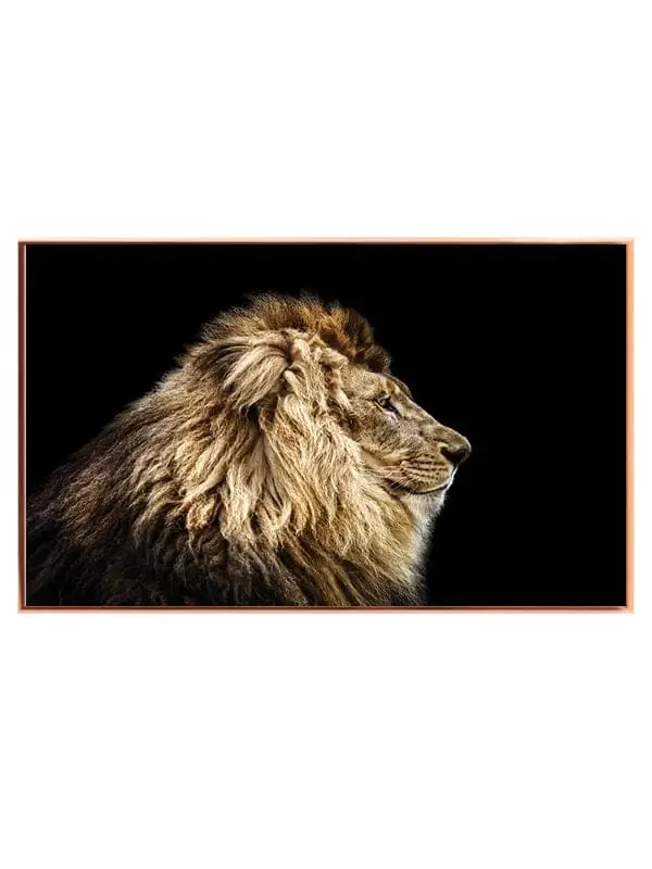 Lion Profile No3 Plakat