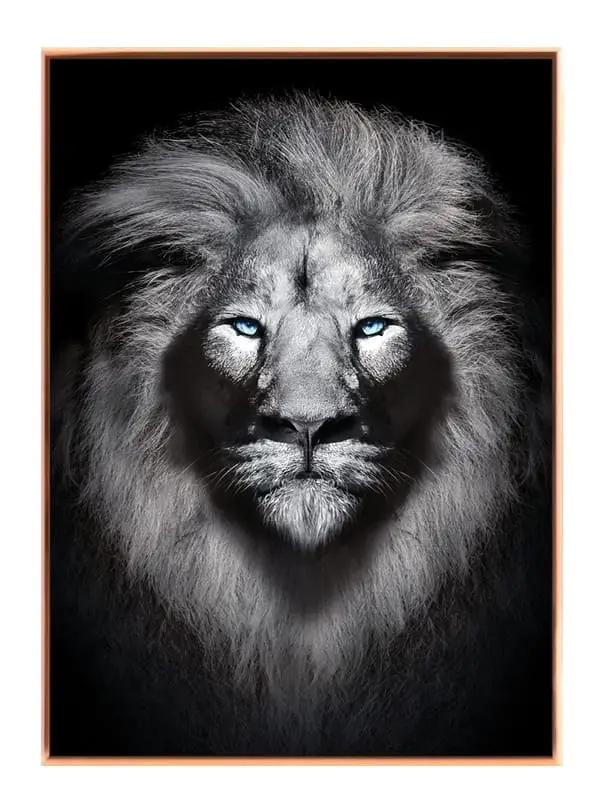 White Lion No2 Plakat