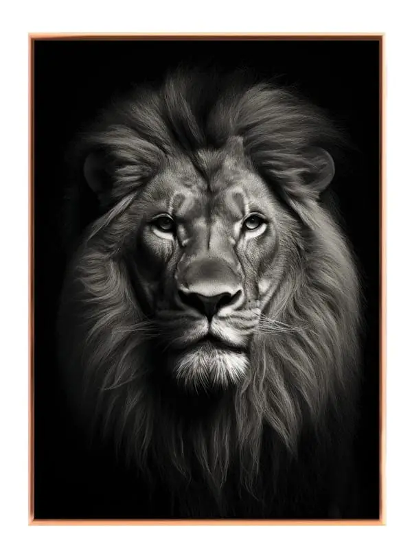 Lion Portrait I Plakat