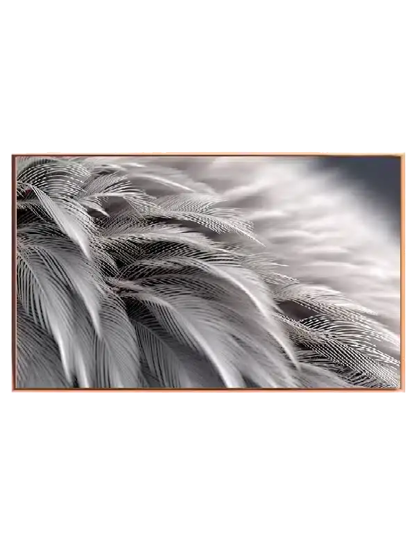 Feather Veins Texture Plakat