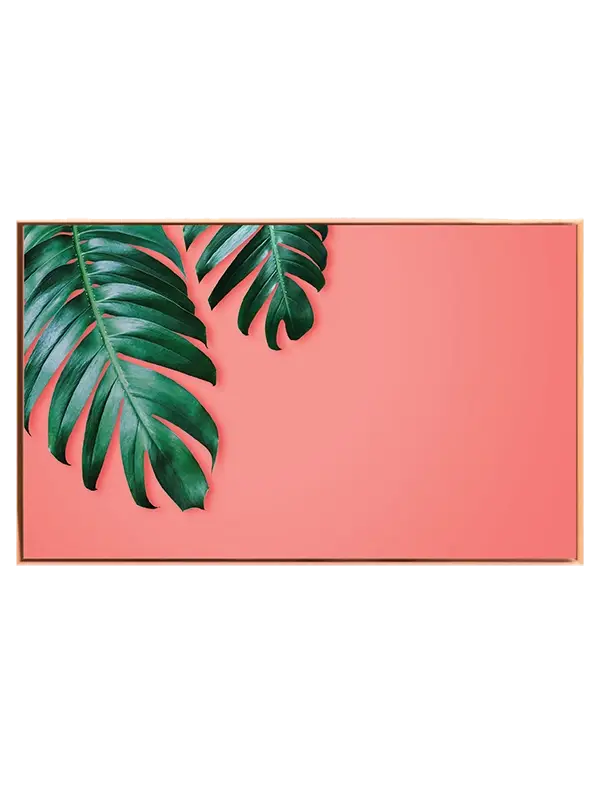 Monstera Blade På Koralfarve Plakat