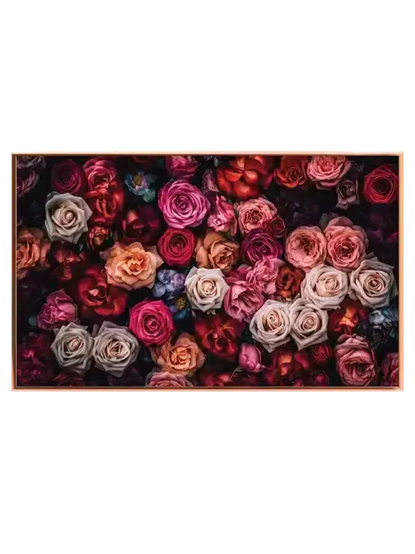 Blomstrende Roser i Mørke Plakat