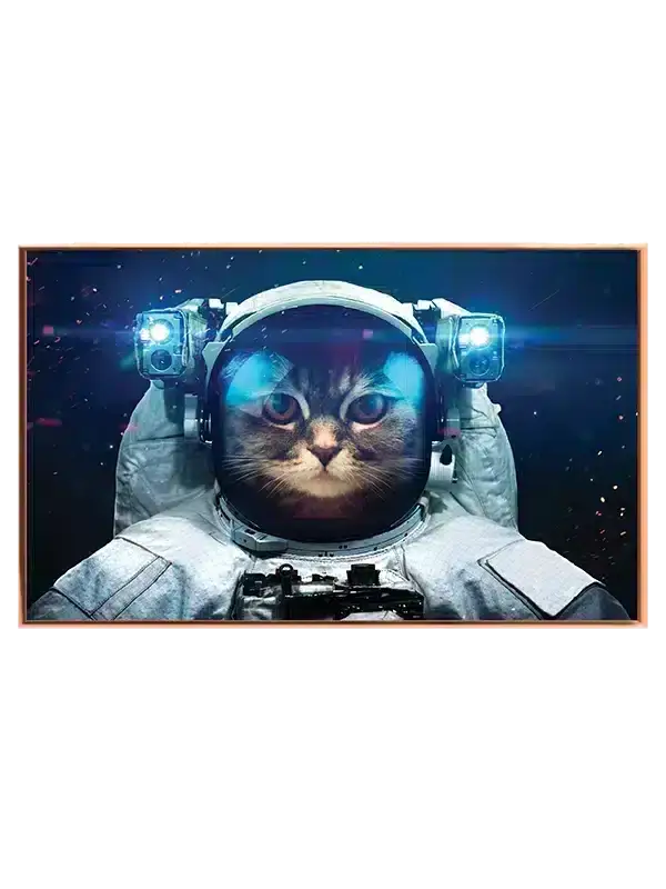 Grafisk Kat i Astronautdragt