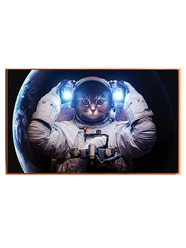 Astronautkat med Jorden Bagved
