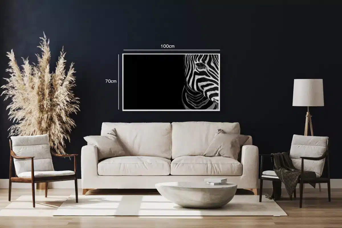 Zebra Portræt i Sort