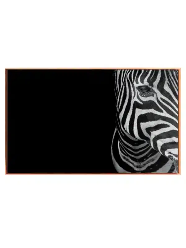 Zebra Portræt i Sort