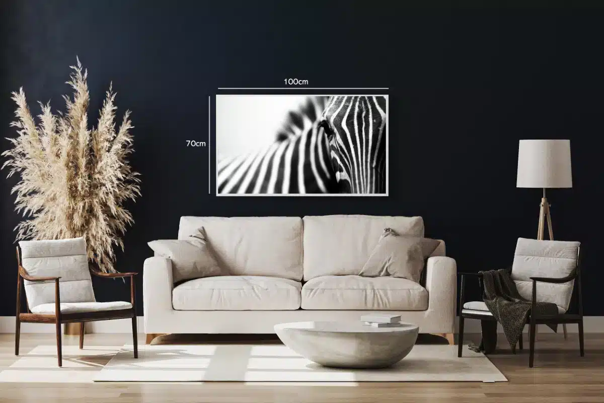Zebra Profil i Sort-hvid
