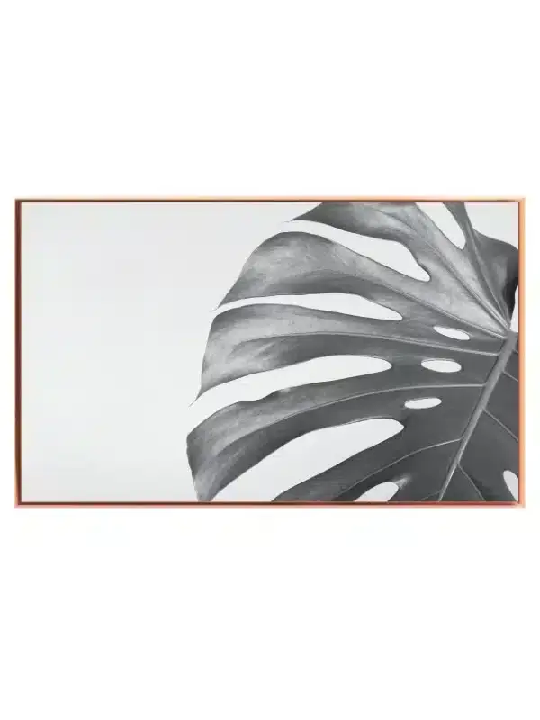 Monstera Blad i Gråtoner