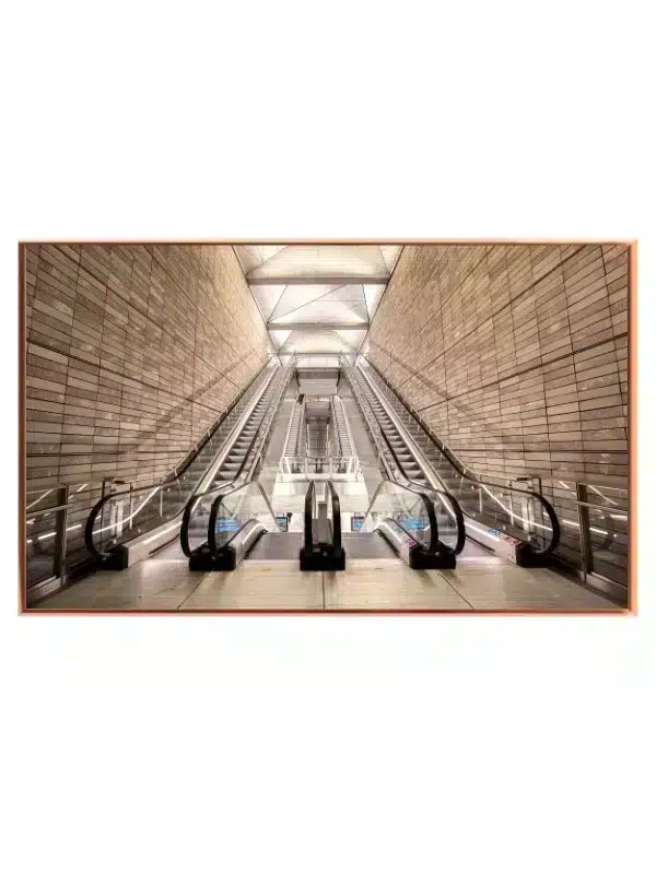 Symmetrical Modern Escalator View