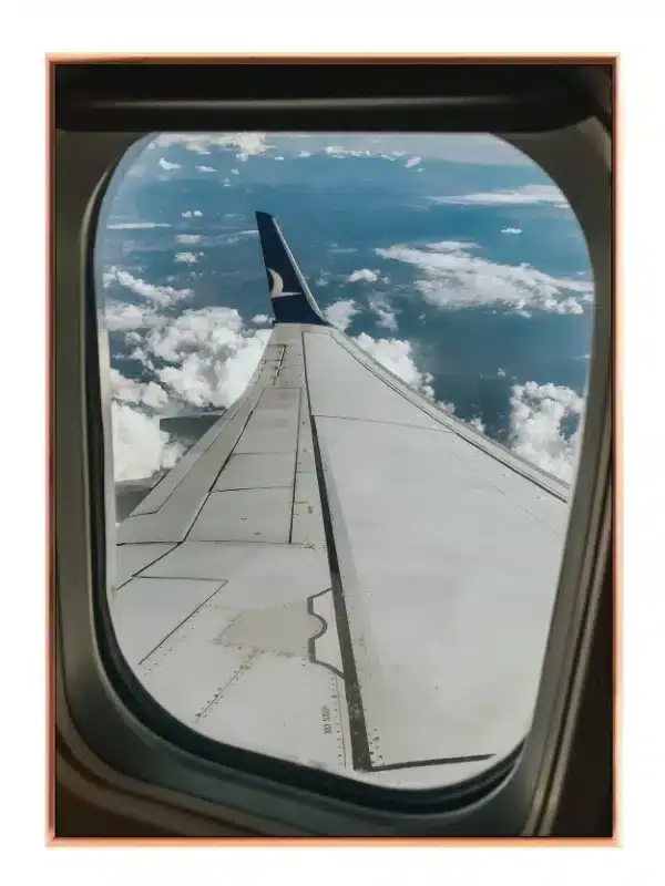 View From Airplane Window