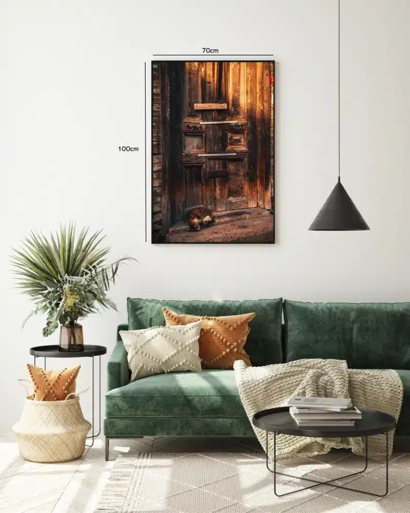 Rustic Wooden Door With Cat
