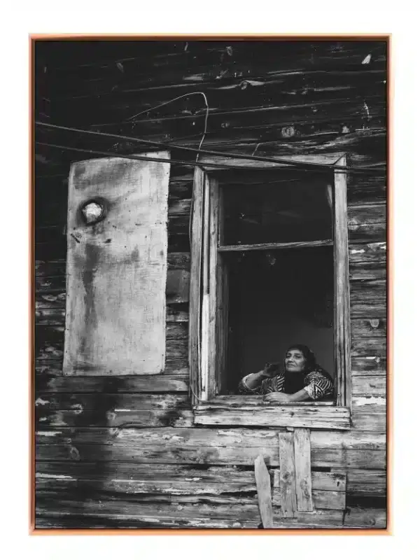 Elderly Woman At Window