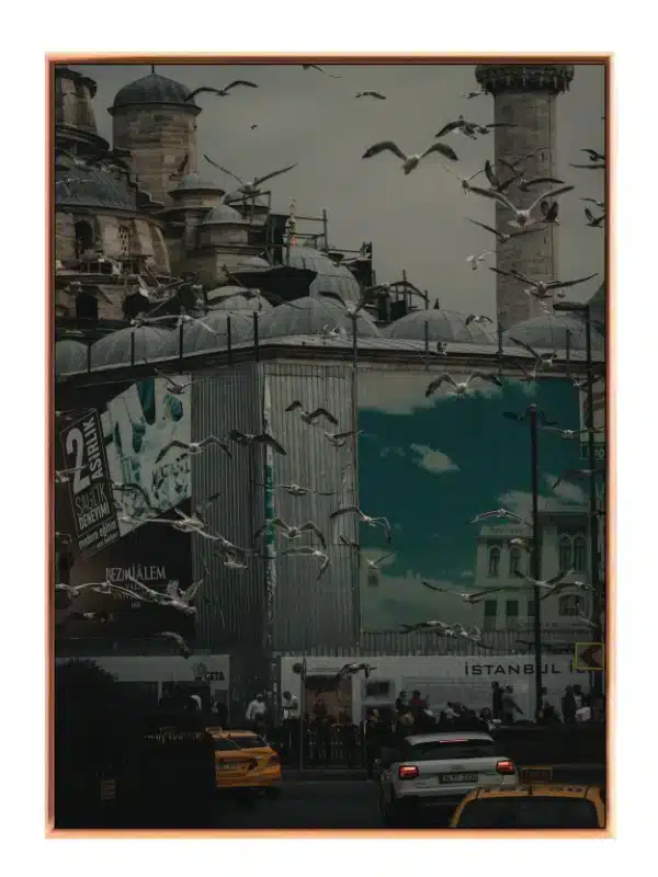 Urban Scene With Flying Birds