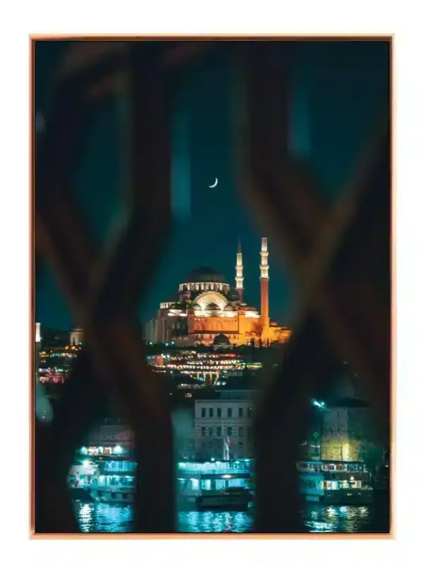 Night View With Crescent Moon