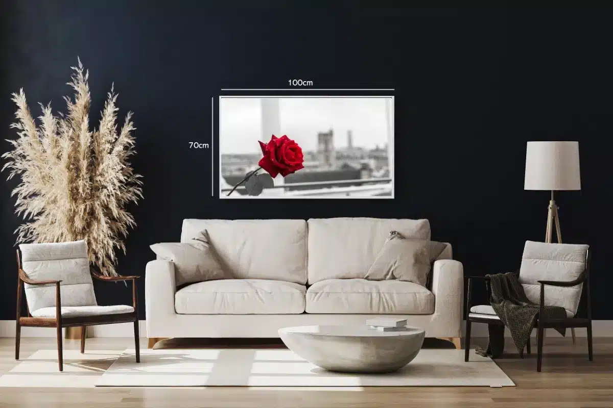 Red Rose Against Cityscape