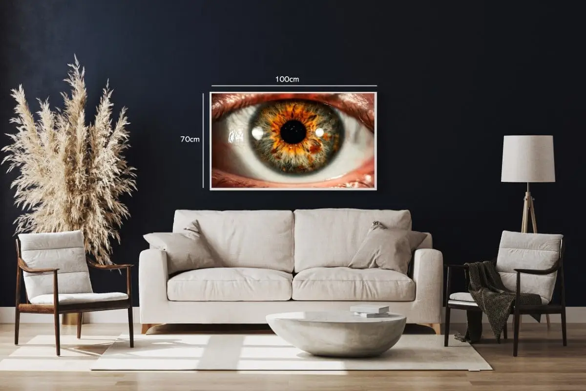 Makro Iris i Ravtoner