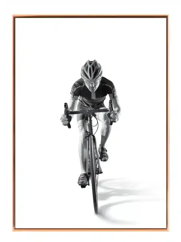 Cykelrytterens Fartfyldte Eventyr