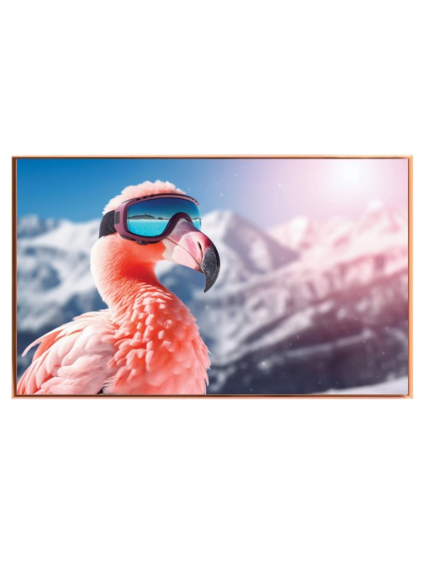 Flamingo på Eventyr i Sneen